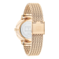 Tommy Hilfiger Orologio Donna 1685315