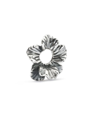 TAGBE-00246