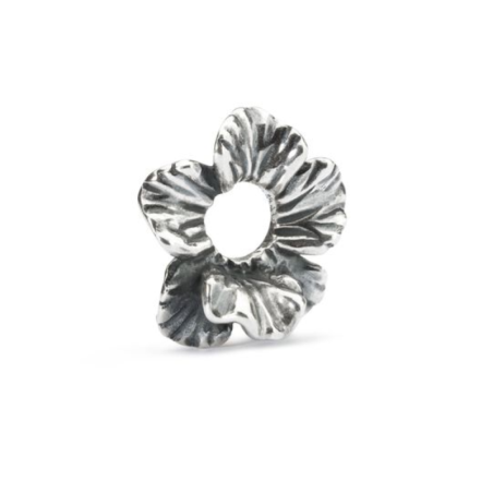 TAGBE-00246