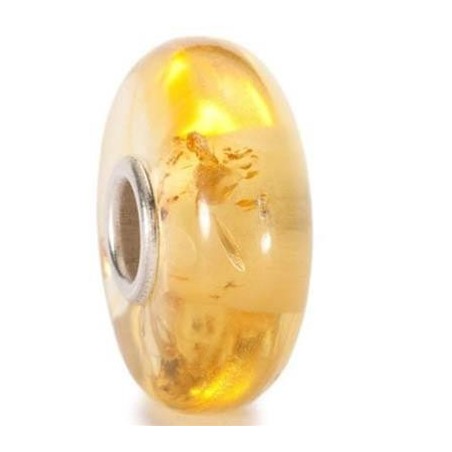 TAMBE-00008
