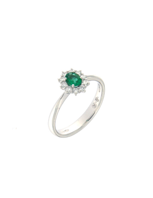 Z681