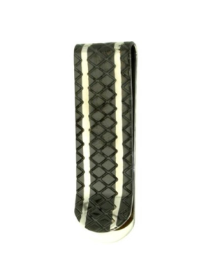 Fs031