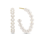 Co88 Collection Orecchini Donna 8CE-70424 Co88 Collection Orecchini Donna 8CE-70424