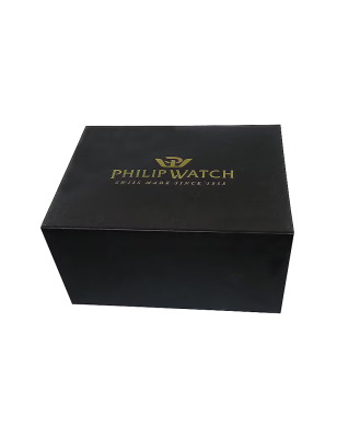 Philip Watch Orologio Uomo R8253150039 Philip Watch