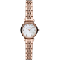 Emporio Armani Orologio Donna AR11203