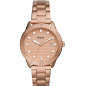 Fossil Orologio Donna BQ3596